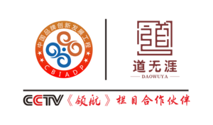 道无涯鼻咽堂央视合作伙伴logo